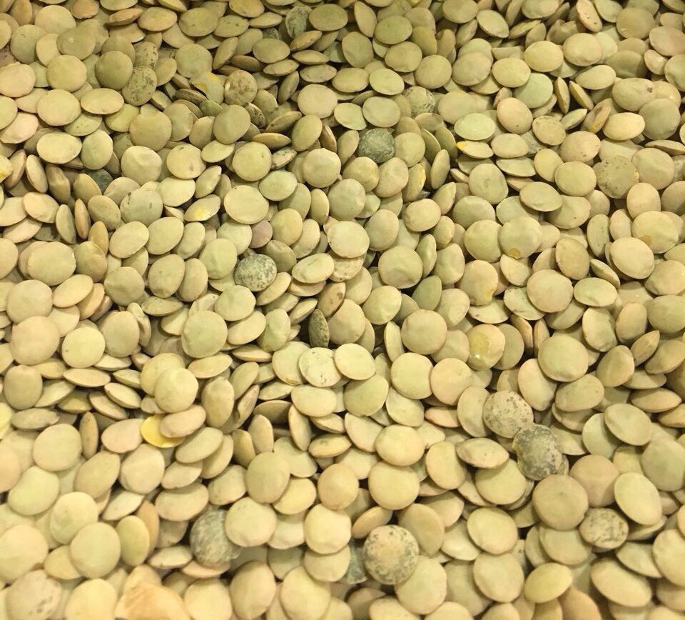 Green lentils - фото - 1