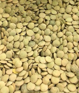 Green lentils - фото - 1
