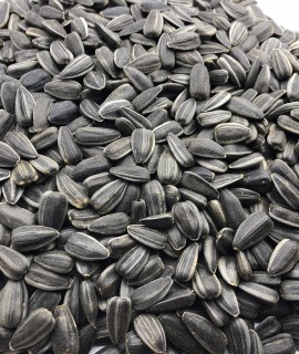 Sunflower seeds - фото - 1
