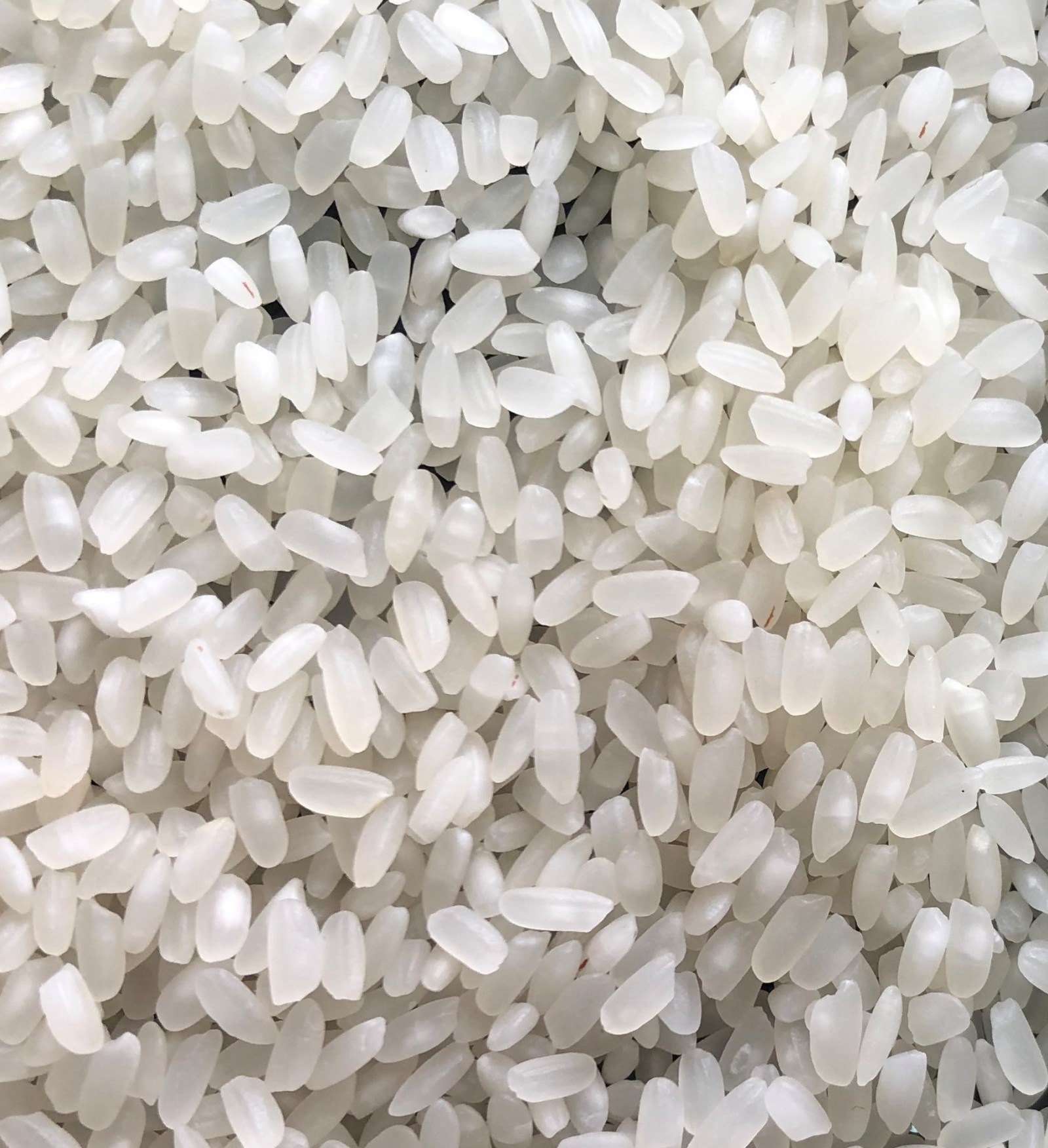 Rice groats - фото - 1